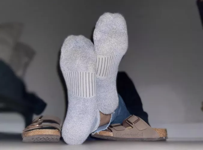 Wouldn’t you love a sniff of my irresistible scent? 😏 by petitefeet64