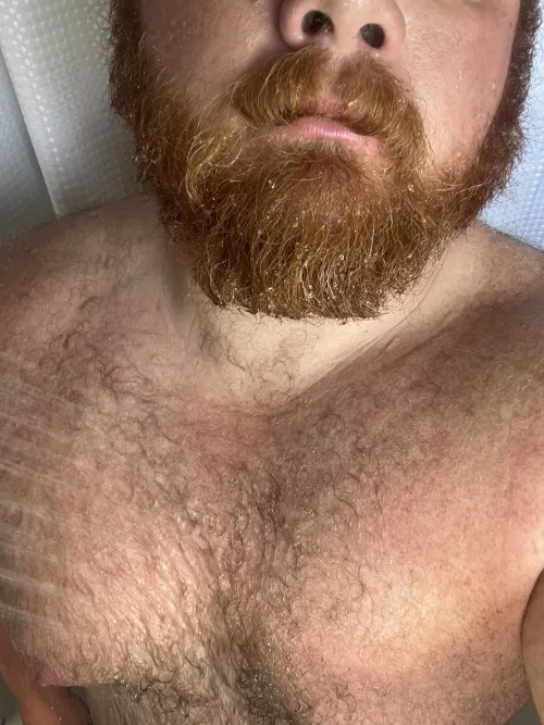 Always tired by latergator45