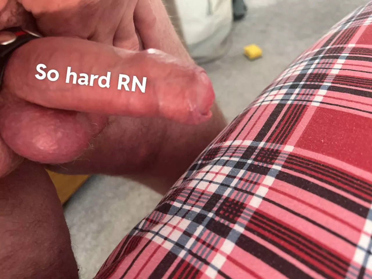 Feeling horny posted by Junior_Evidence_7533