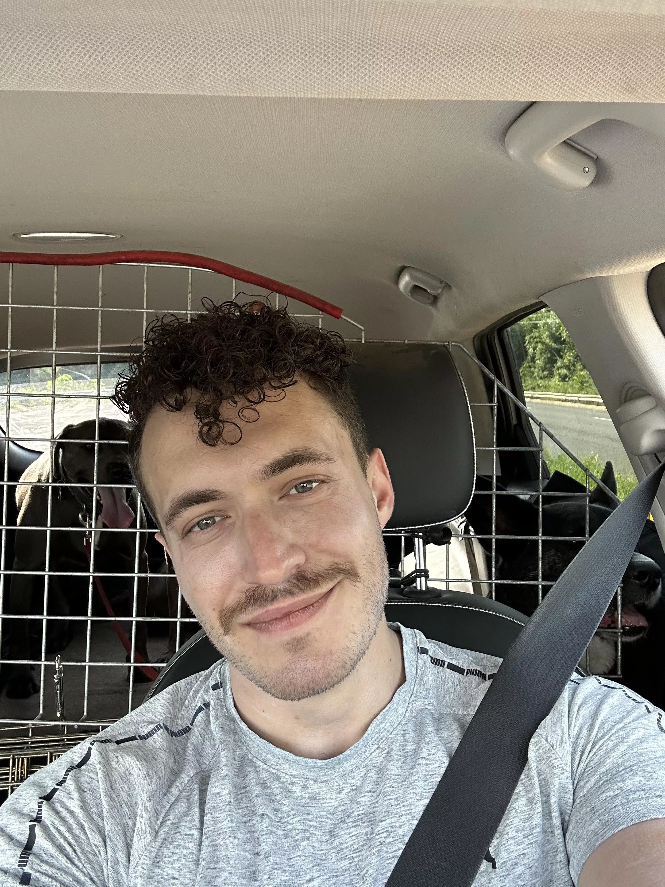 Guess how many dogs are in my car today 🐶🐶🐶? posted by DogTrainerArk