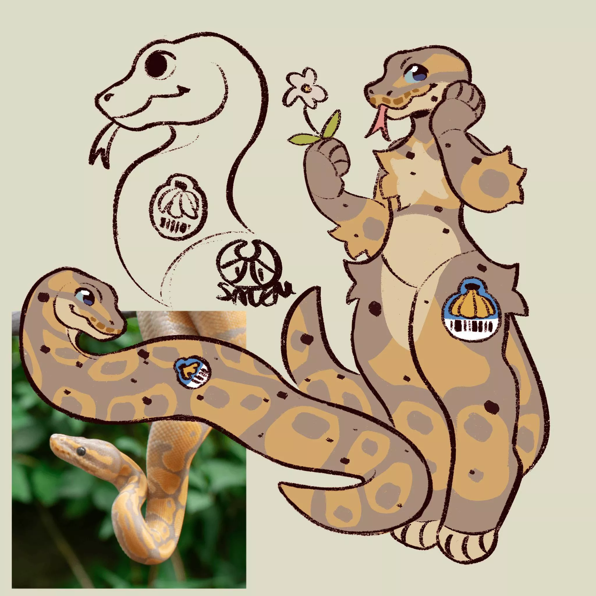 I drew a ball python! Their name is Banana Smoothie :3(OC) posted by slmvilla