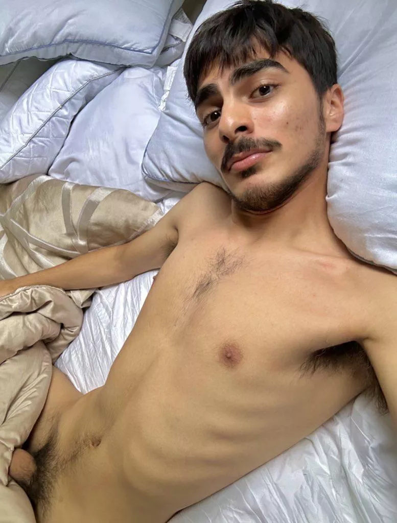 Little shrub posted by CombinationMoney430