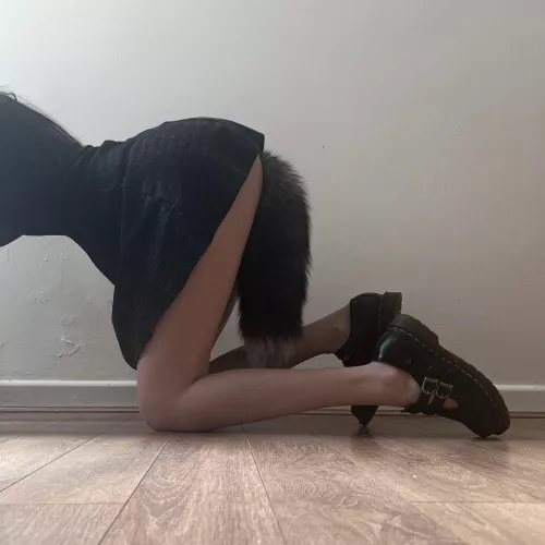 Patiently waiting for your attention master 🤤🐾 by Ce_Luna