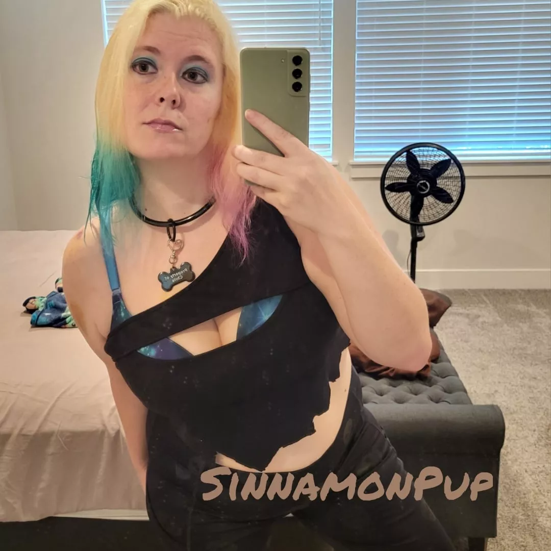 Puppy wants to play posted by SinnamonPup