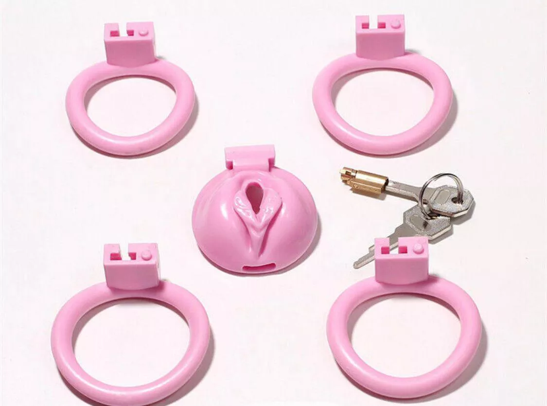 The pussy cage, shall I buy it? posted by LucyMayor