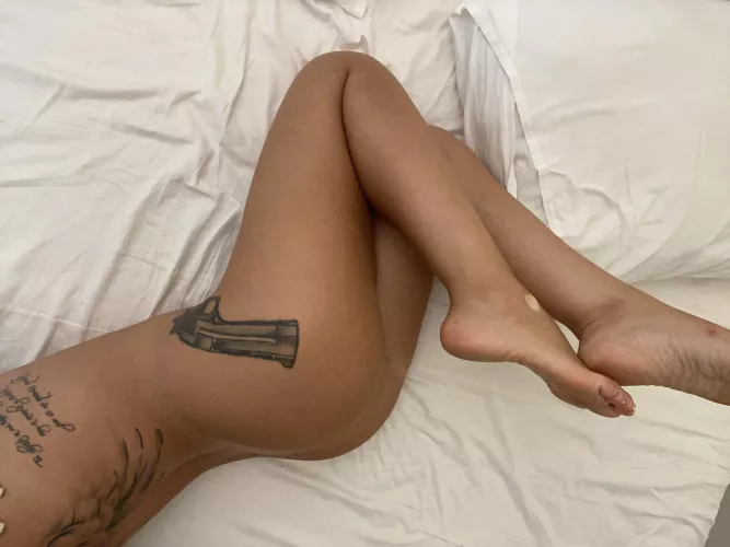 Today I am tender as a cat by gorodru