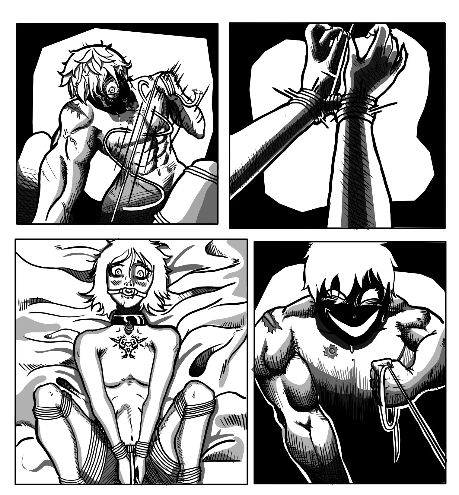 A Rope of Panels reupload posted by Abandoned_HP_PRINTER