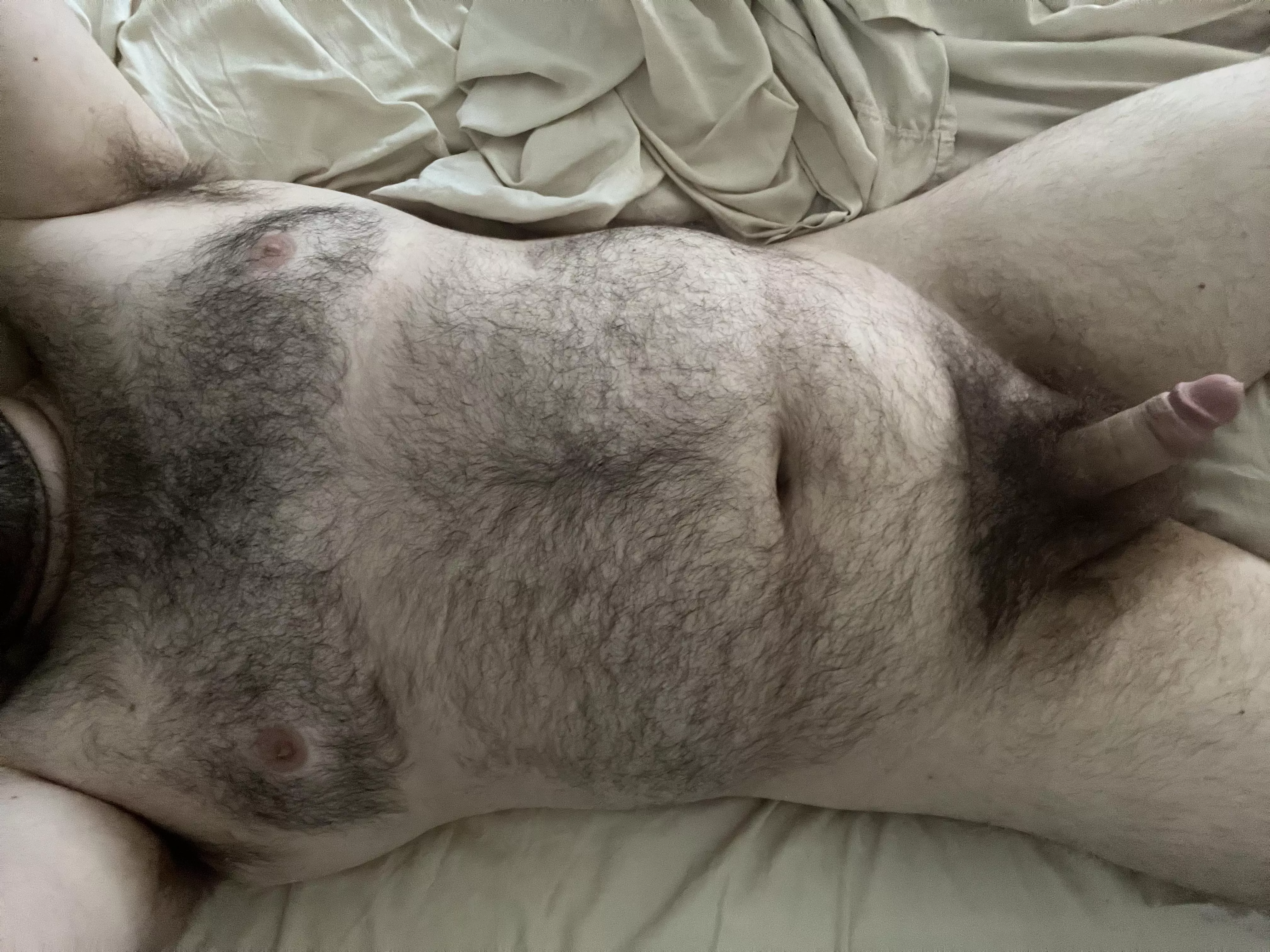 Any papa bears around to snuggle with a cub? posted by ChunkeyMonkey69