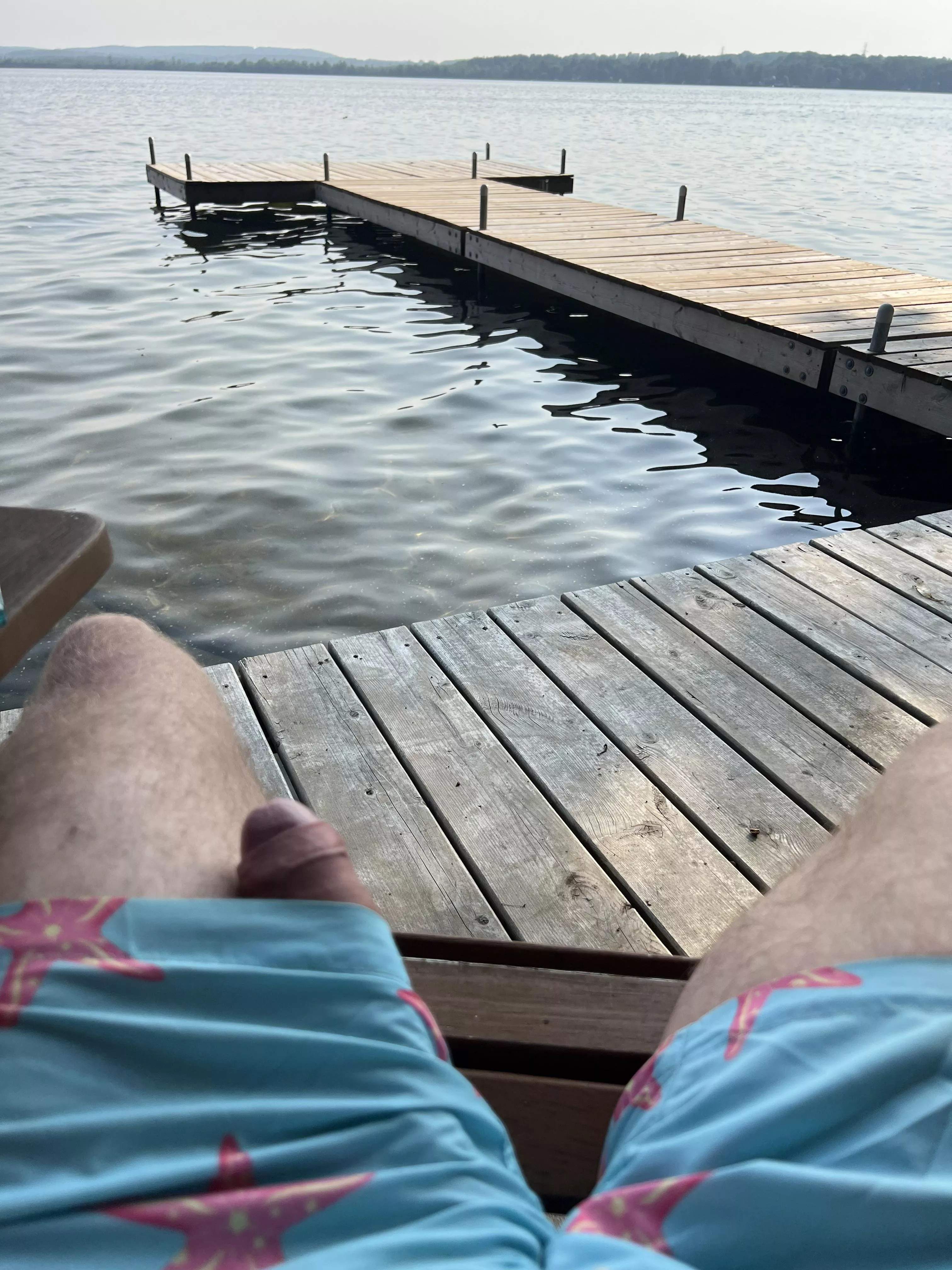 Anyone up for a swim? posted by tossinthelake