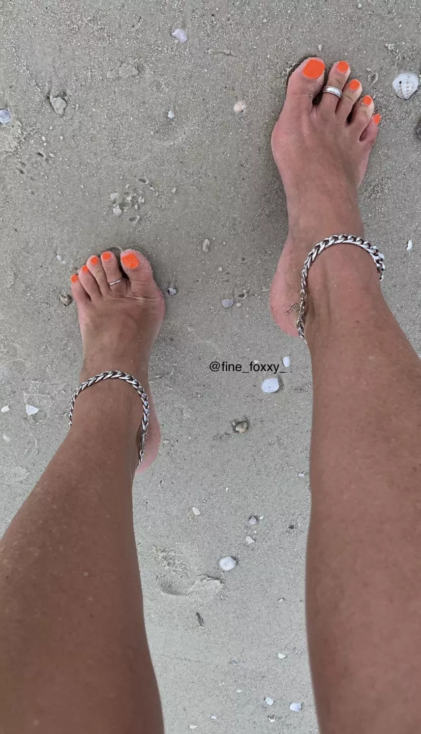Do you collect sea shells? posted by Fine_Foxxy_