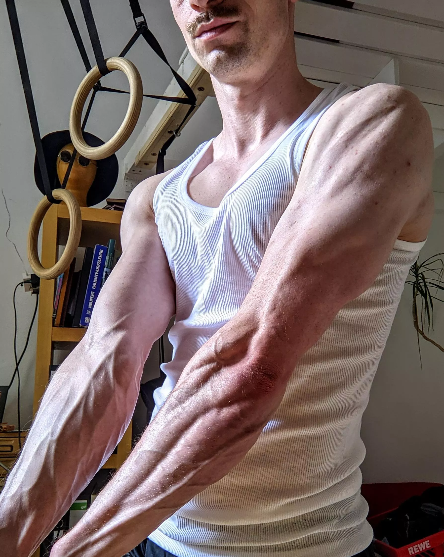 Forearm anatomy 101 posted by bookehuck