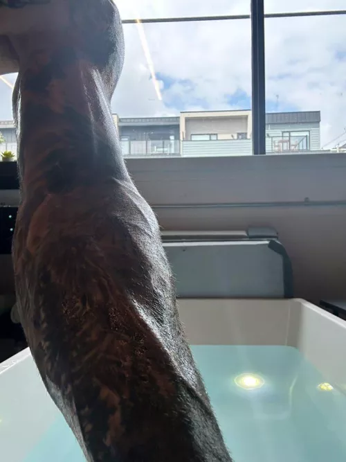 Here, relax. I’ll help you sleep. by ArcadianRage