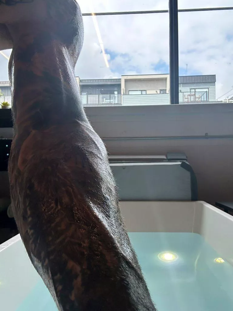 Here, relax. I’ll help you sleep. posted by ArcadianRage