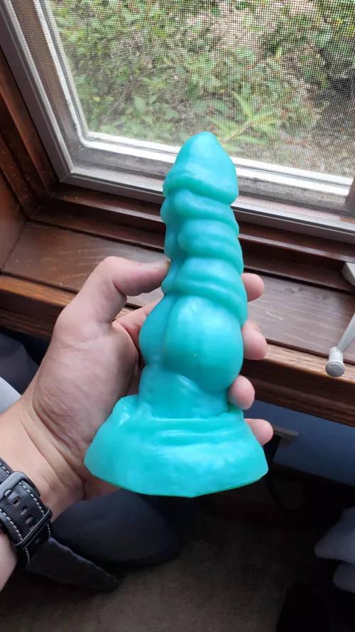 How much is my s/m Nova worth? Considering selling/trading it for a rex or chance flared by JurgenFennu