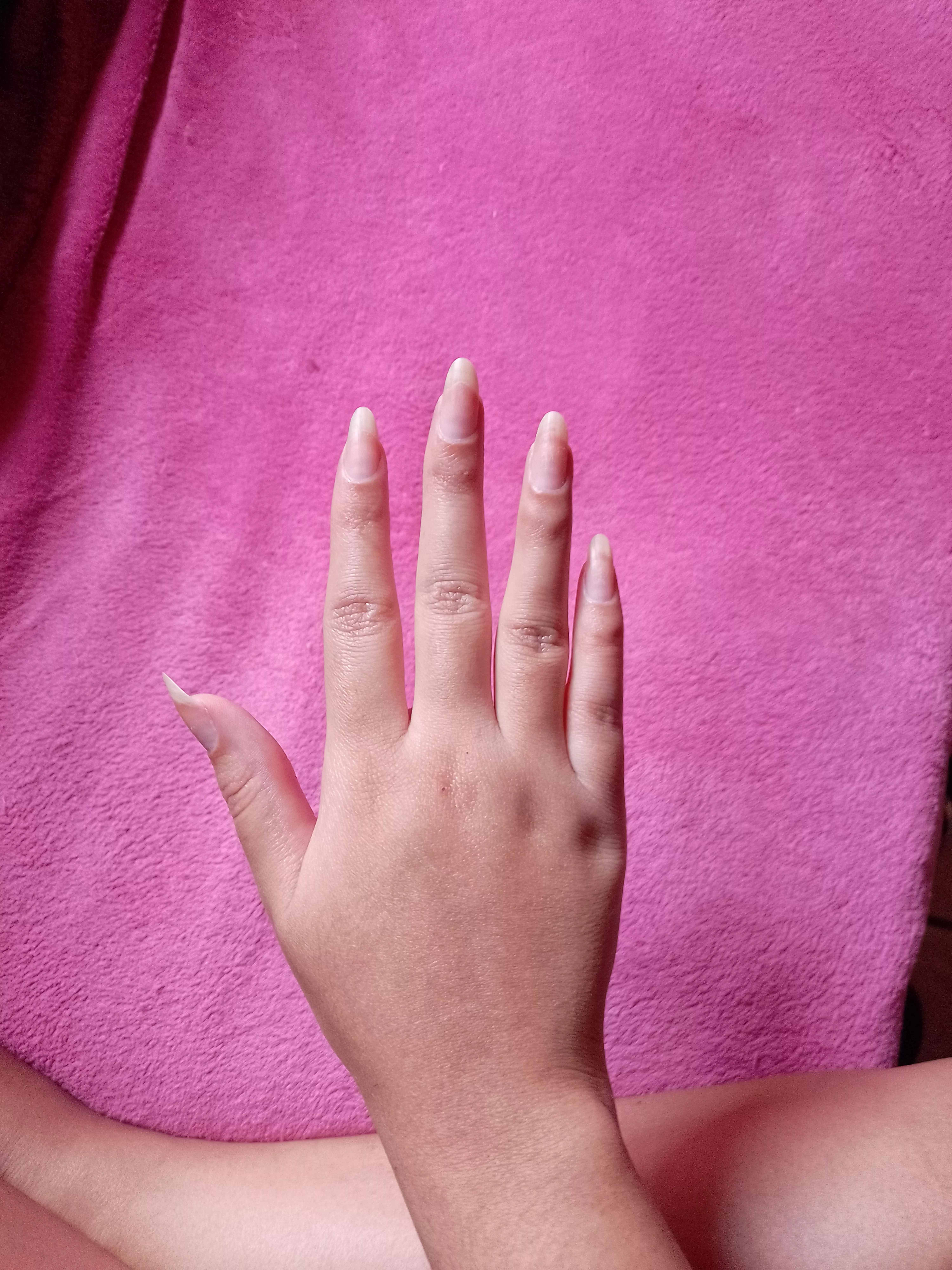 Let me scratch you posted by SashaArch4ngel