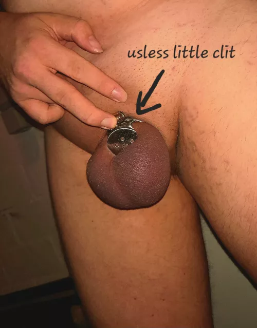 My Balls are so full and swollen please let me out just for 1min😭 by udeathboi