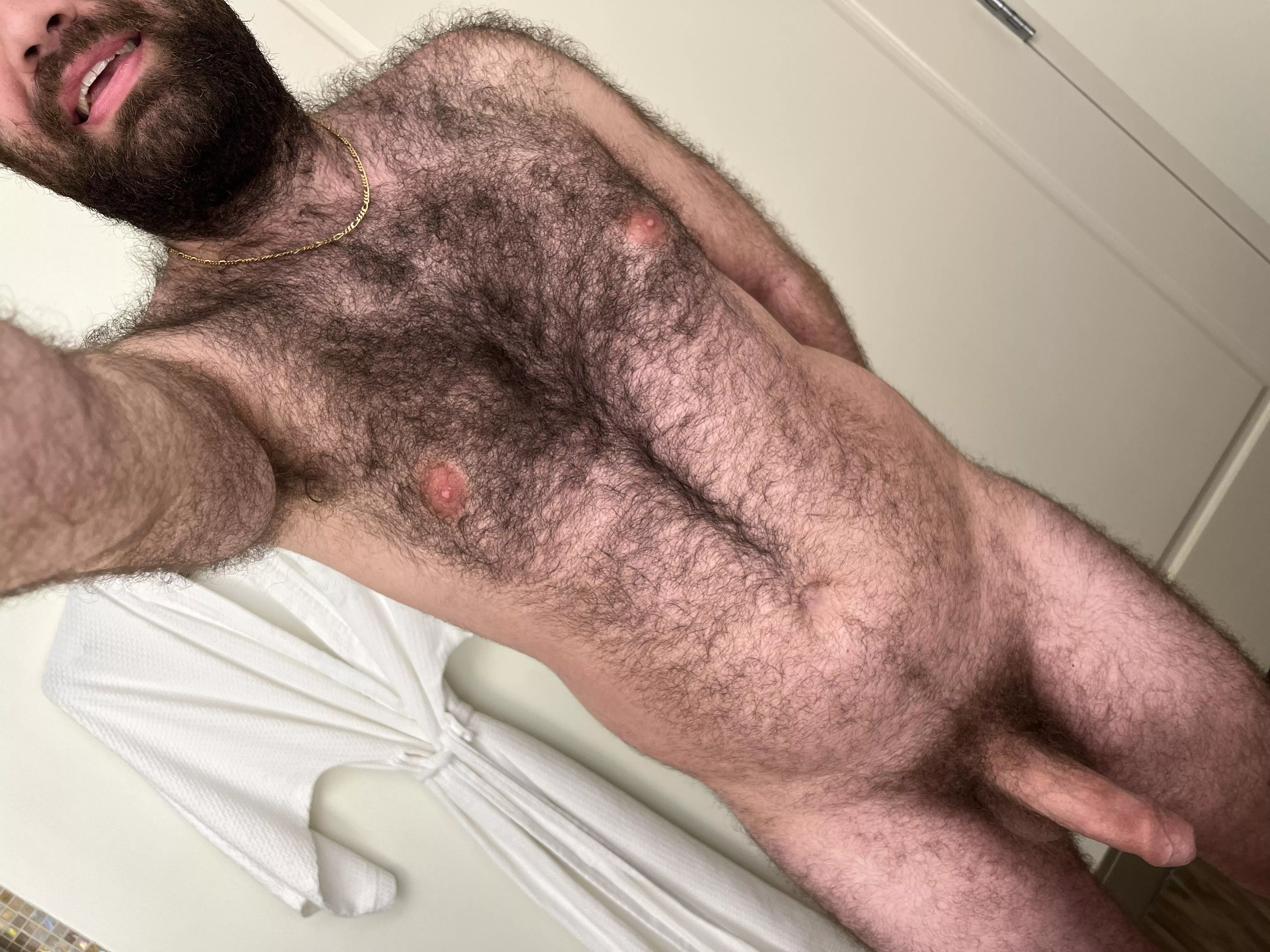 Rise and shine! This cock isn’t going to suck itself you know posted by Anonymity2594