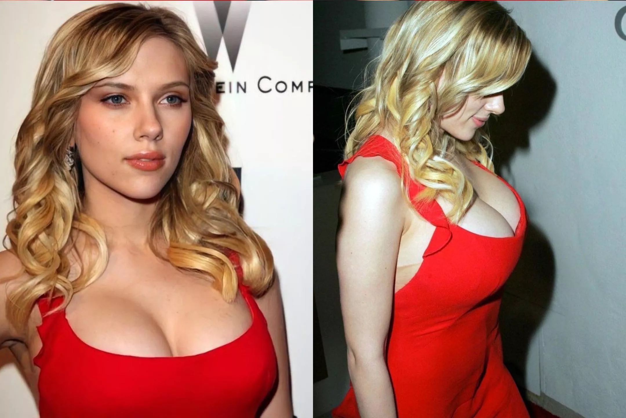 Scarlett Johansson posted by assclown616