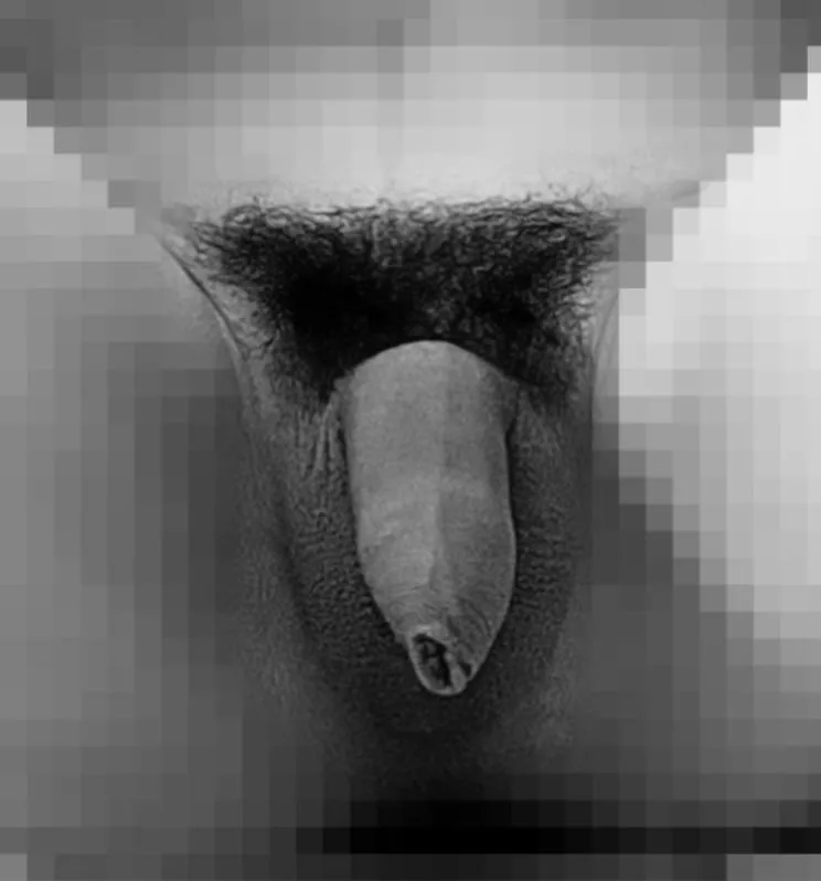 Small posted by Fine-Afternoon-7790