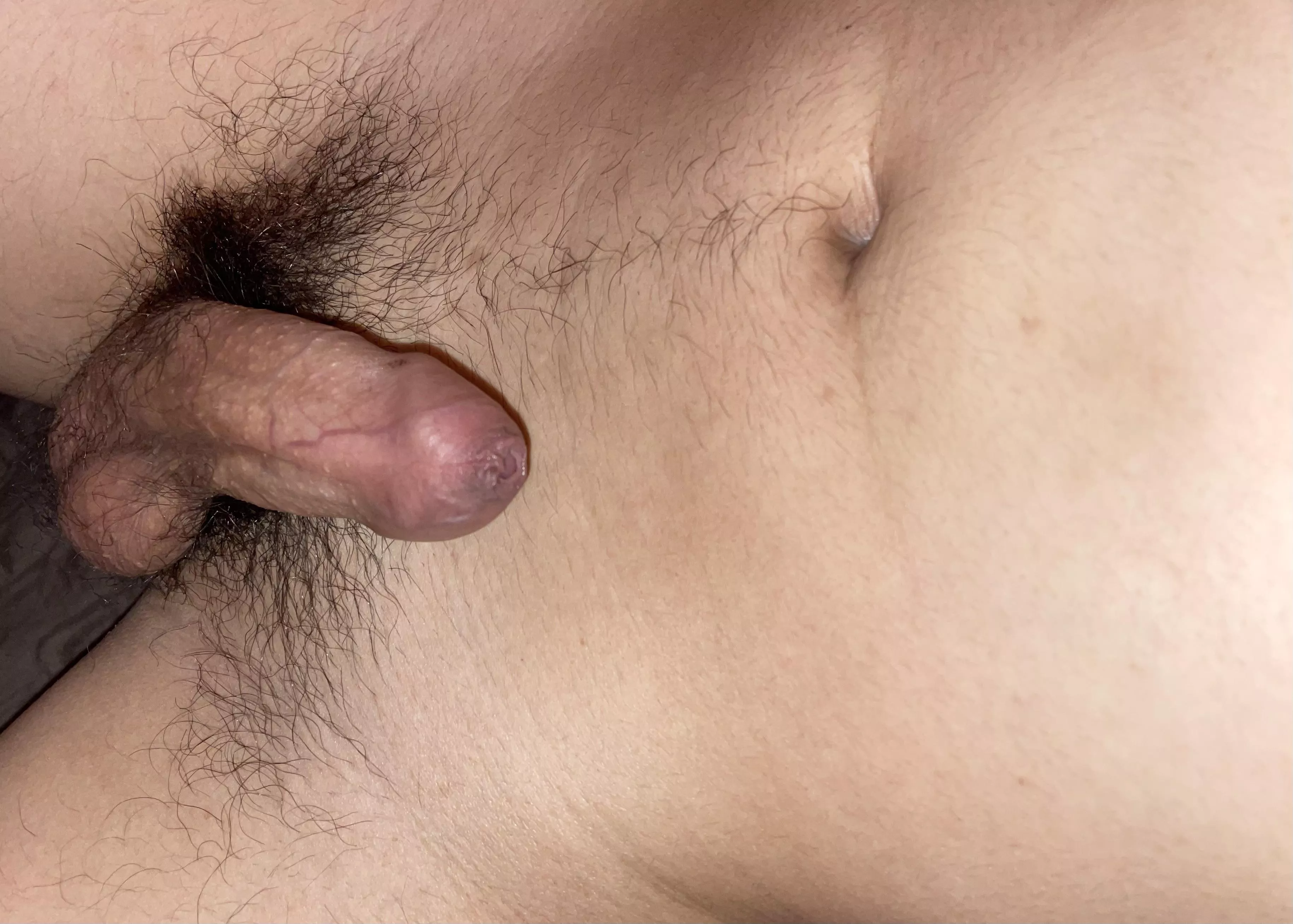 small bush posted by LeopardOk7175