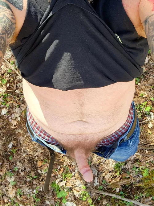 Some hardwoods time by DizzyAd1781