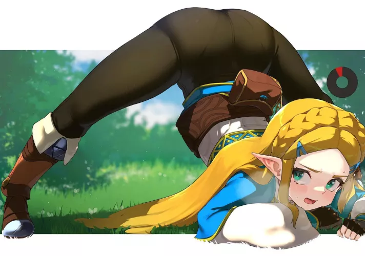 zelda showing her ass by Mantricuna