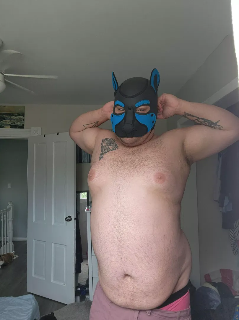 Big puppies need some love too!! 27 M by PunksN0tD3ad