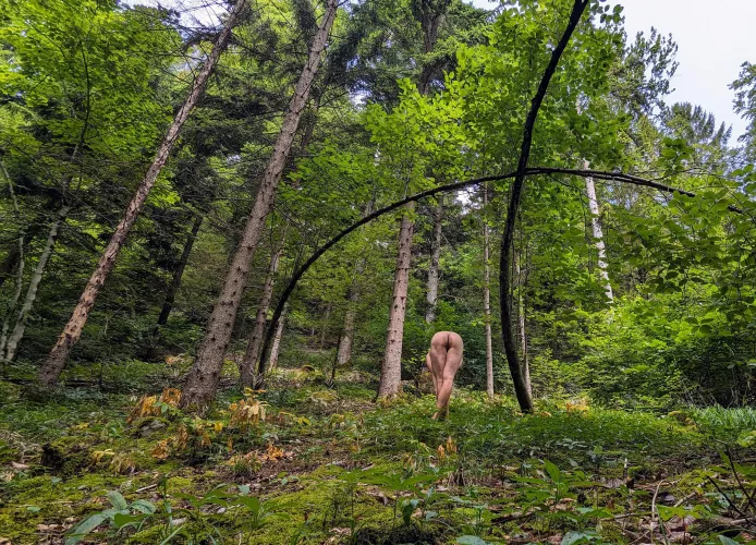 Bow down by truearray