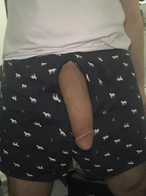 Dangly Monday🍆 by SeductiveStroker