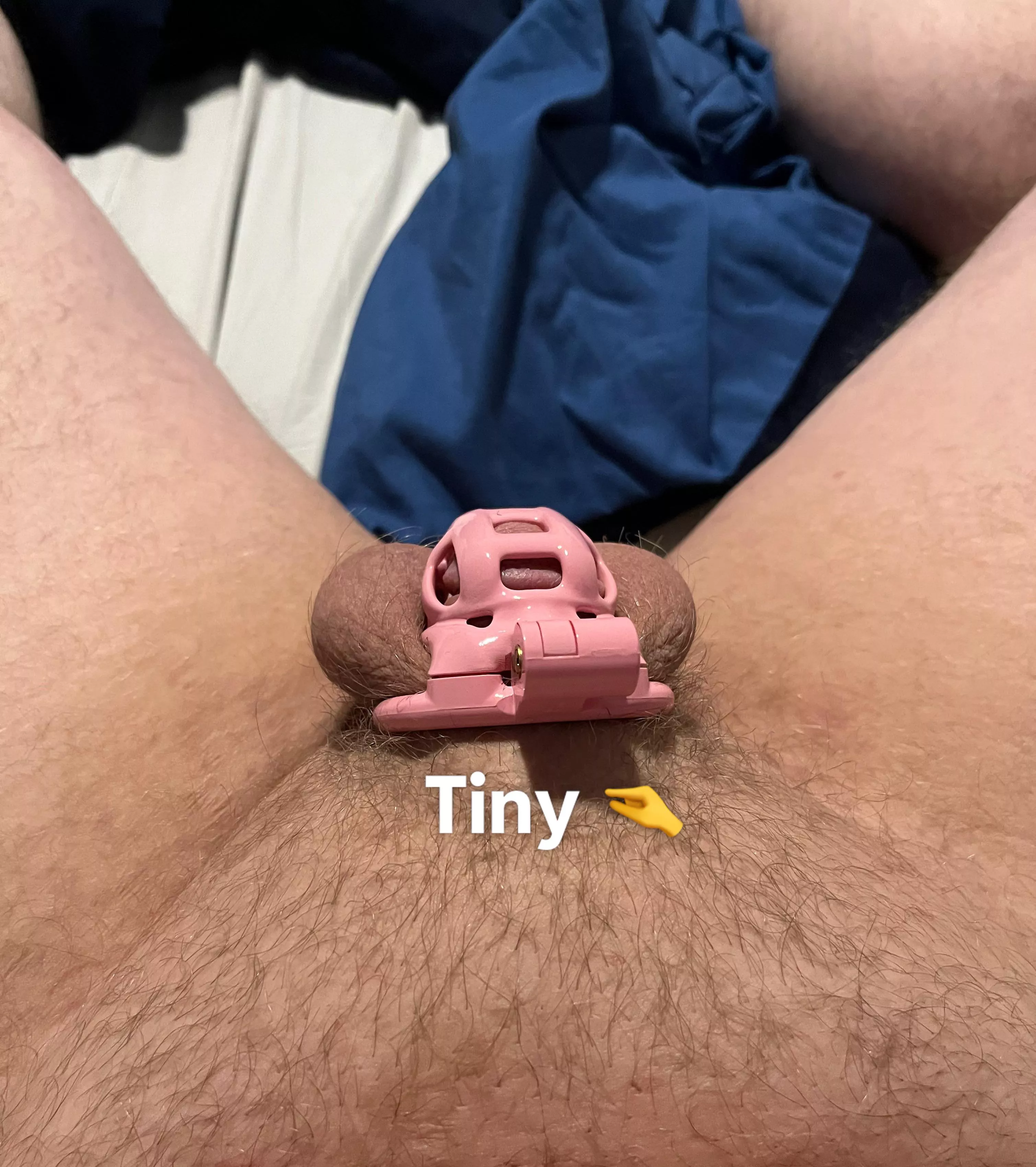 Fresh out the shower gotta air dry posted by pigeonblaster90