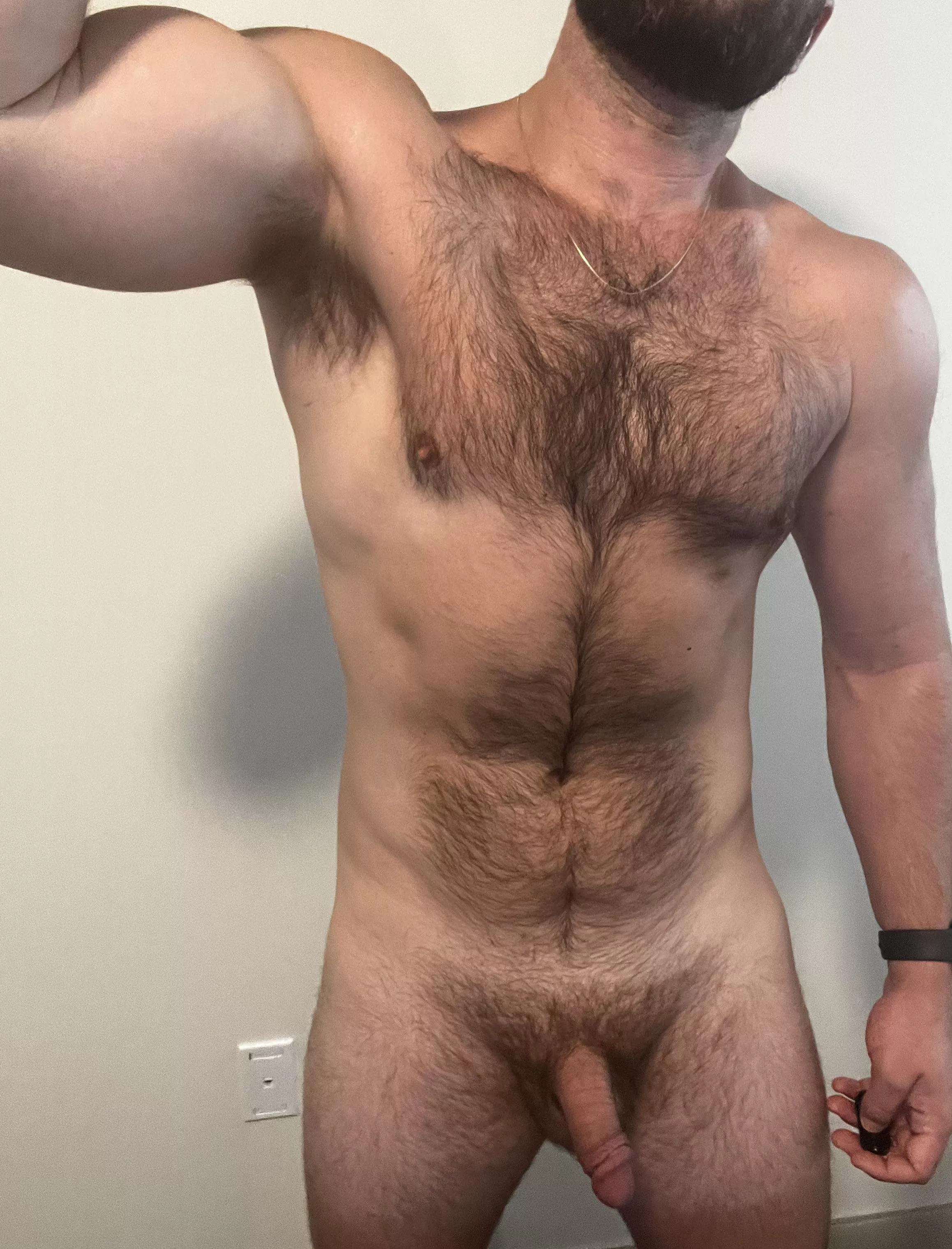 Got beef? posted by GrowthSpren