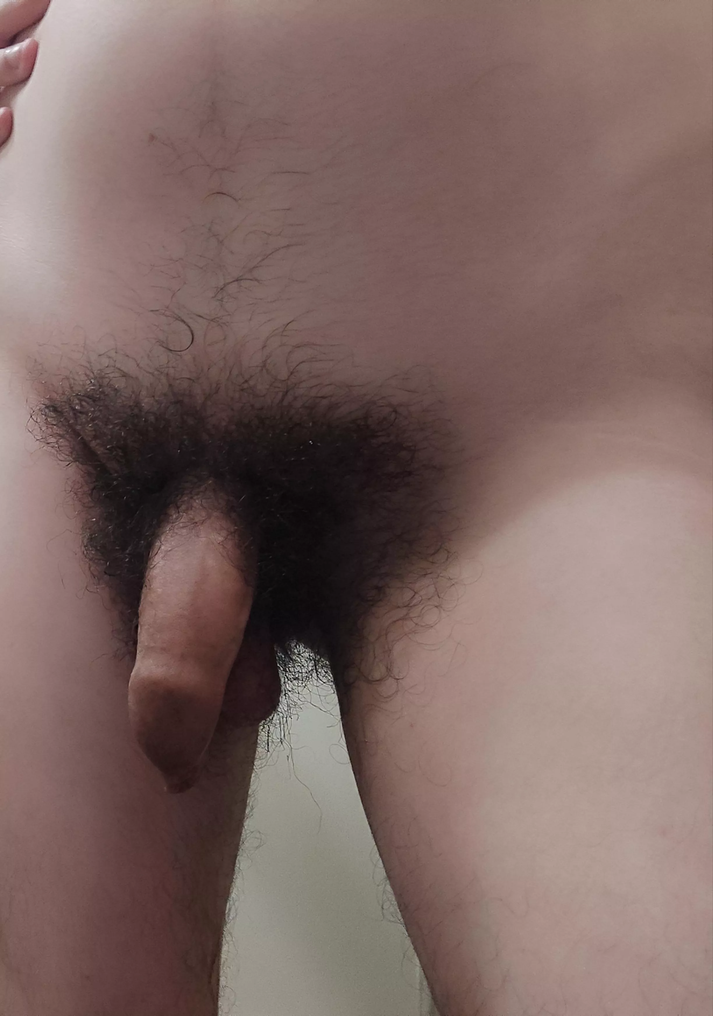 Here is my uncut hairy. 28yo posted by DoctorOgas