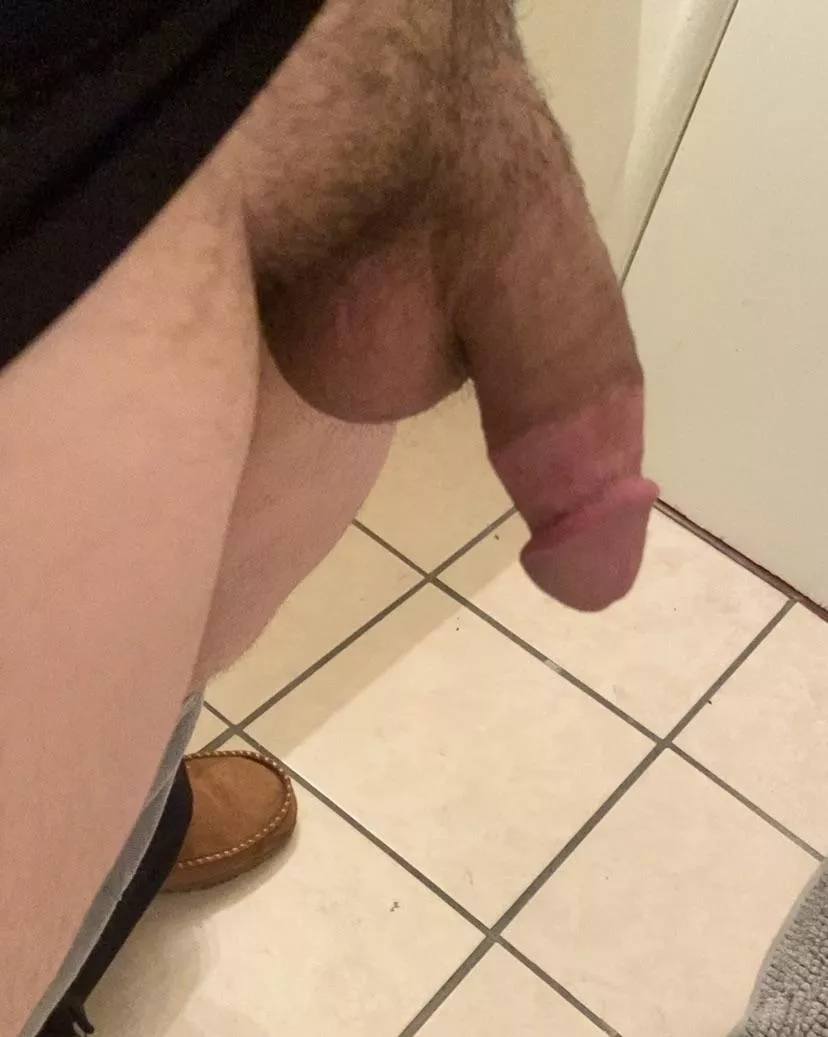 How’s my softie? posted by mrpebbles1776