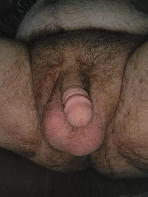 I heard y'all liked hairy men and big balls. by DogDaddy97
