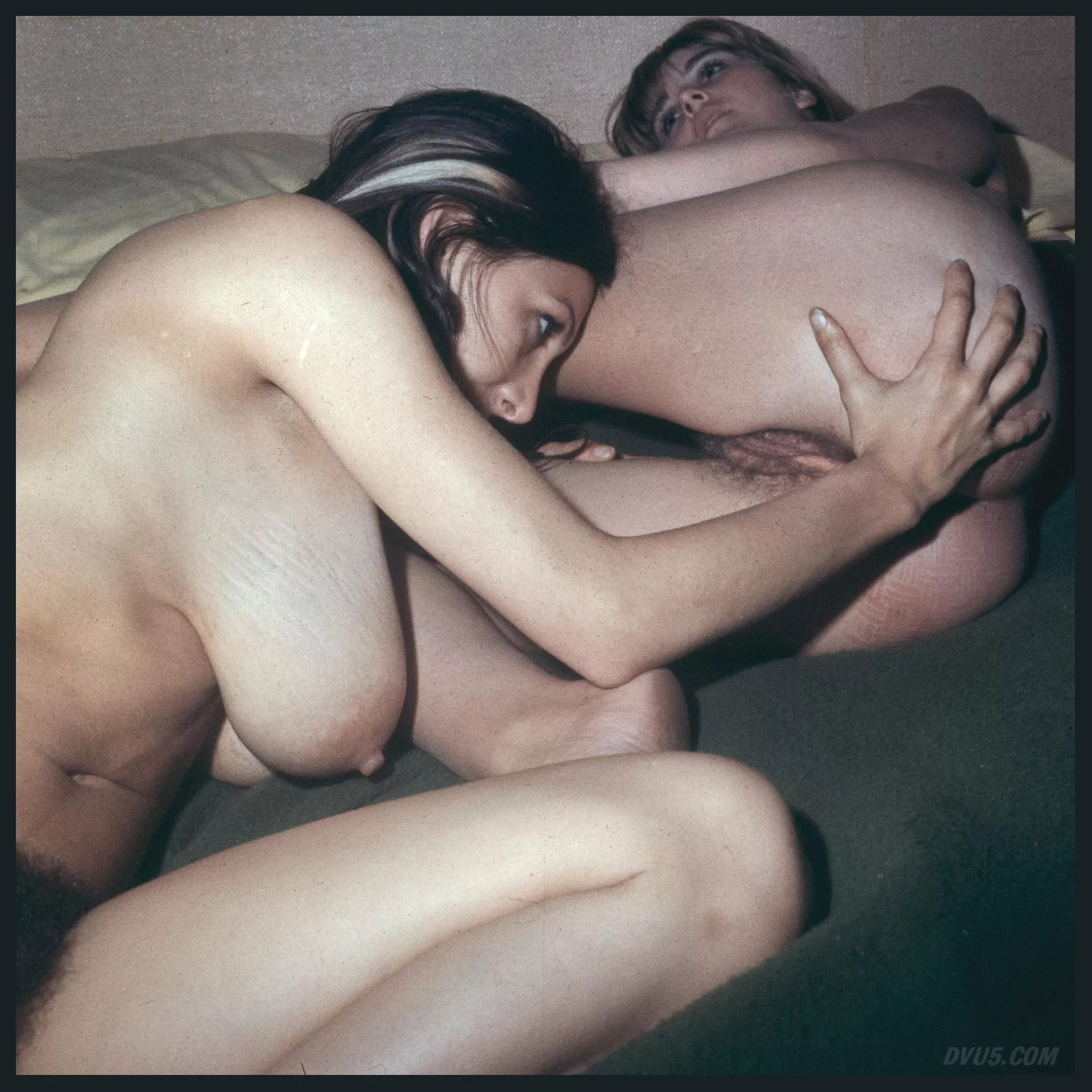 In Full Bloom, 1970's posted by masterdevious