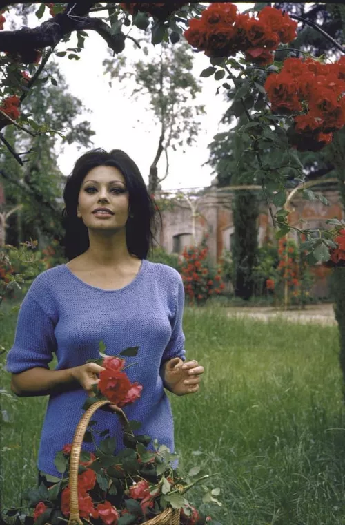 Italian actress Sofia Loren by cliptemnestra