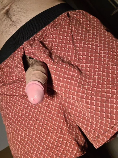 Like my boxers? by Regular-Ad5608