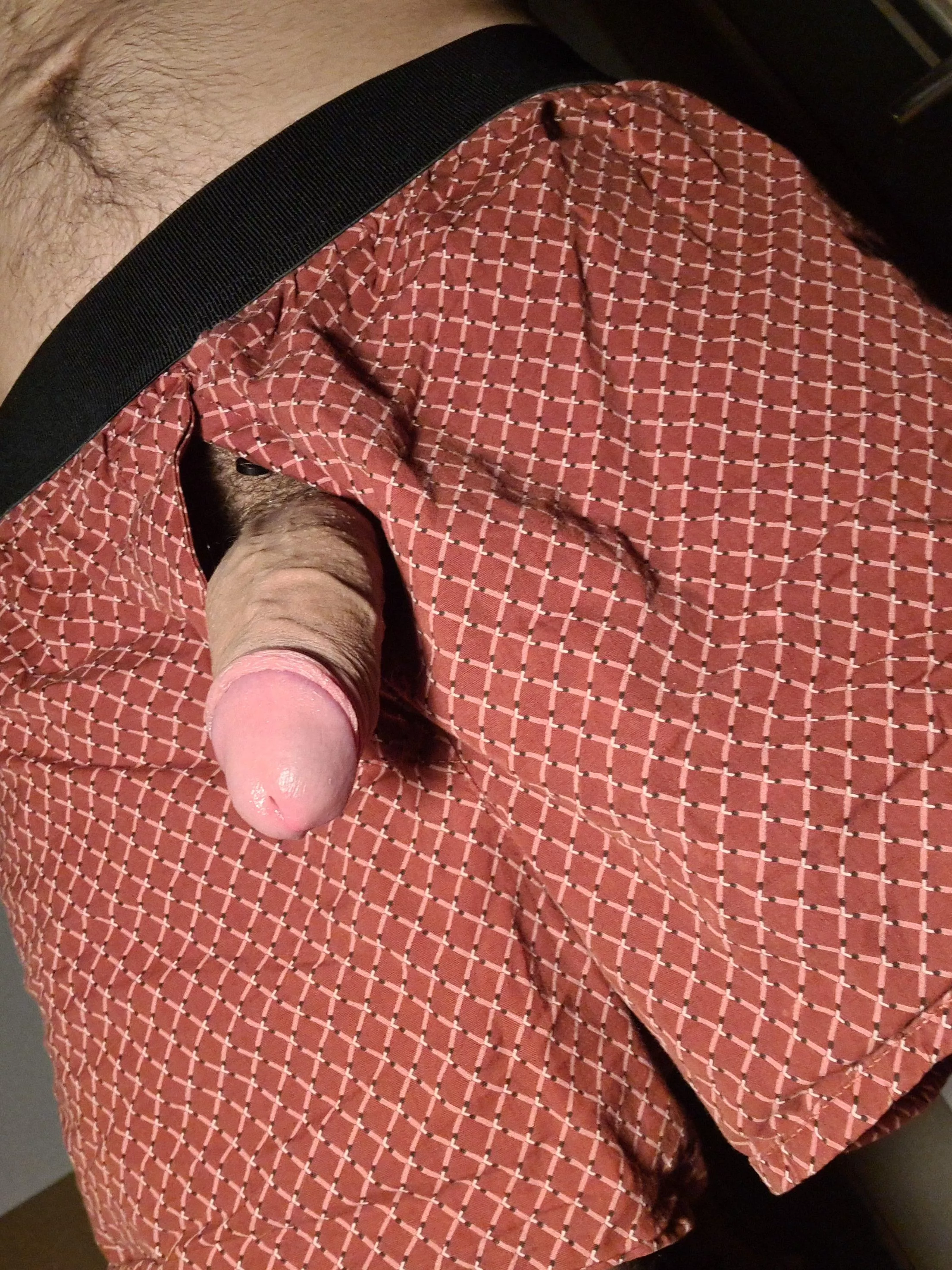 Like my boxers? posted by Regular-Ad5608