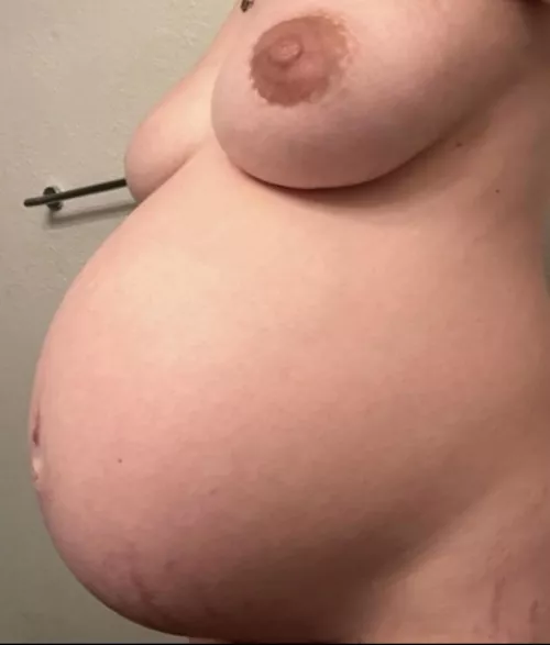 Miss this big belly so much. Breeding season is open by noodzthrowawayz