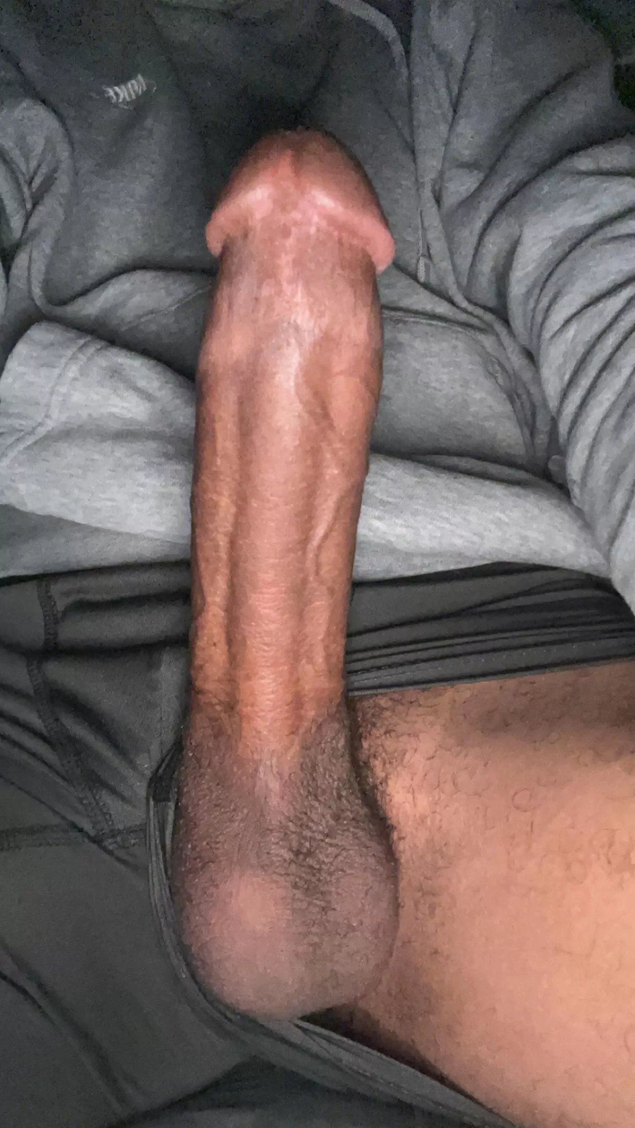 morning wood posted by Actual-Bear-9906
