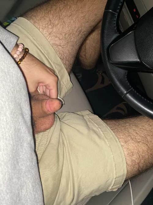 My lil guy in the car by [deleted]