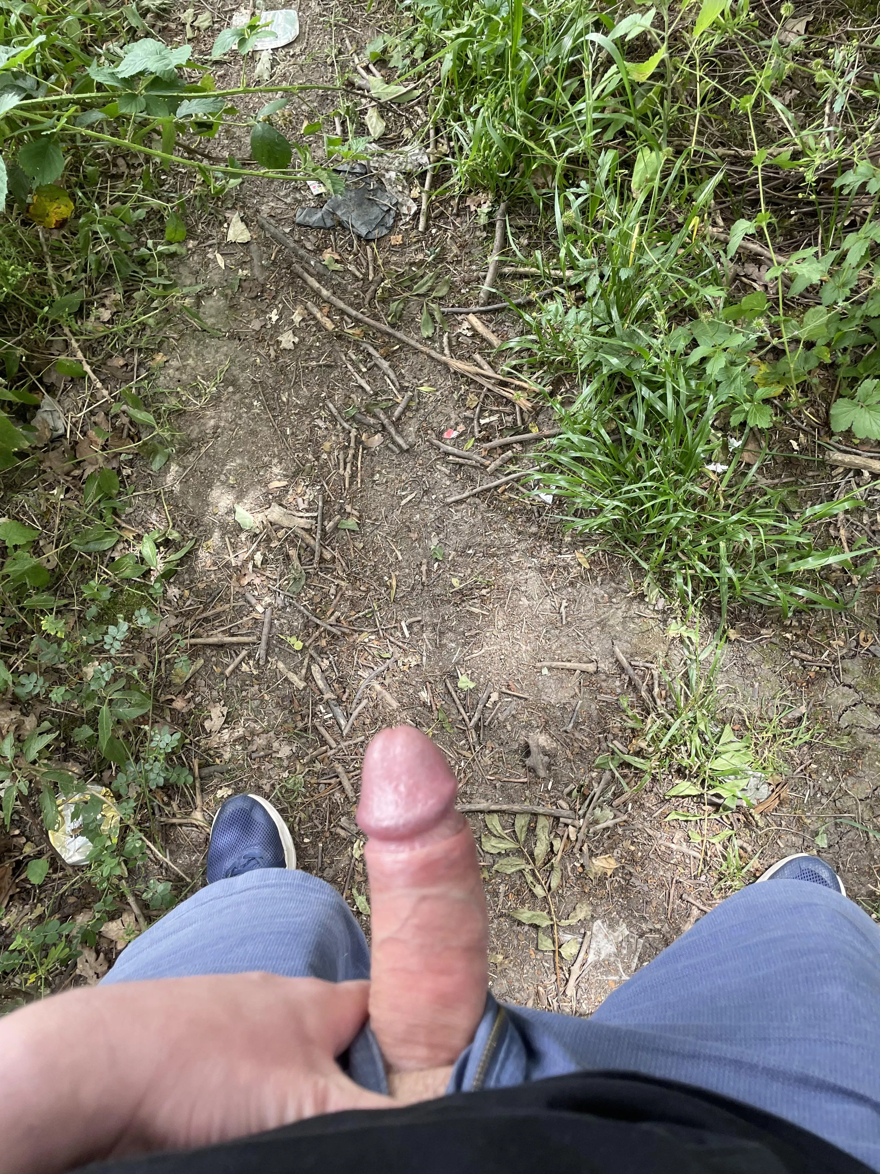 Out for a walk posted by Yorksfun