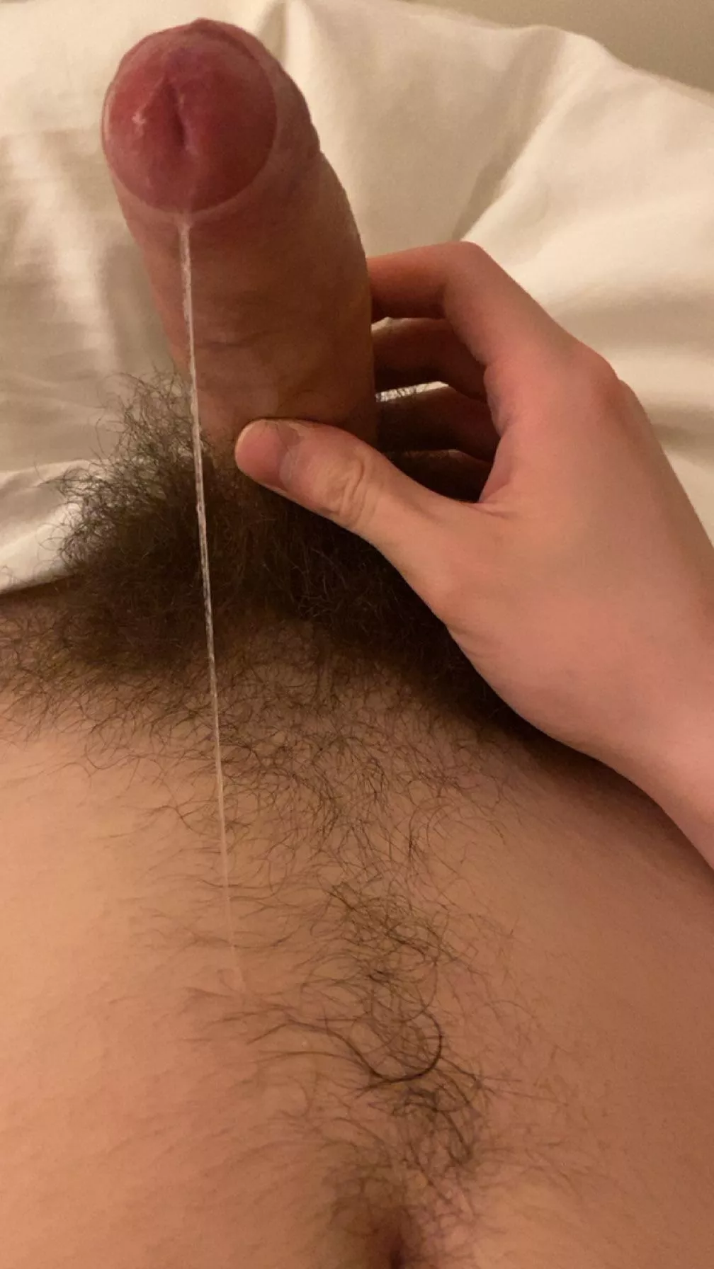 precum and pubes posted by shwof