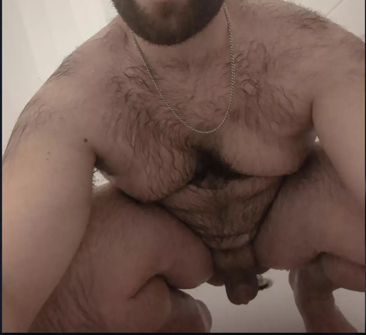 Shower bear! posted by Slawcake