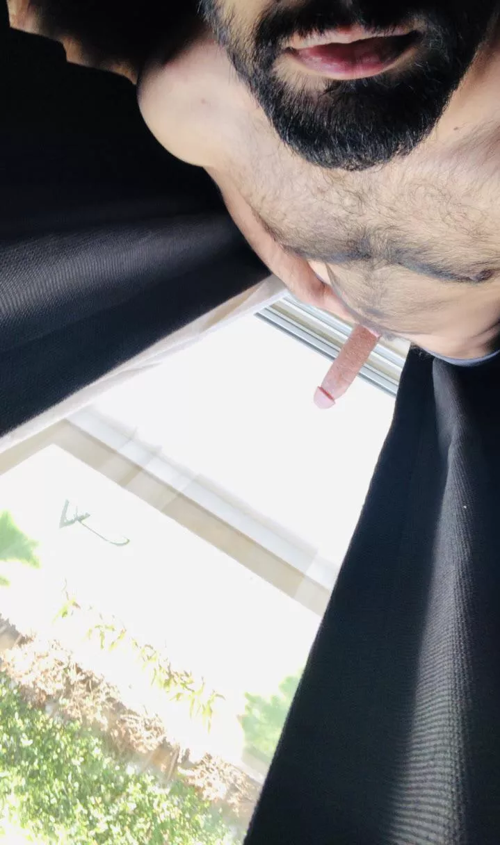 There’s enough for you to run your fingers (and tongue) through posted by TTameimpaler