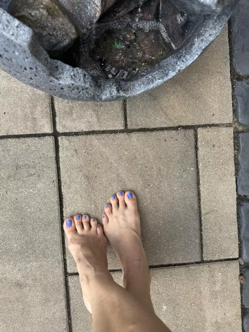 Time to worship My feet. by GoddessScarlett777