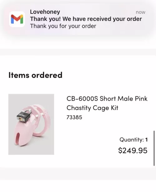 [18/M] just ordered my first chastity cage! by ezpz_LEM0Nsqueezy