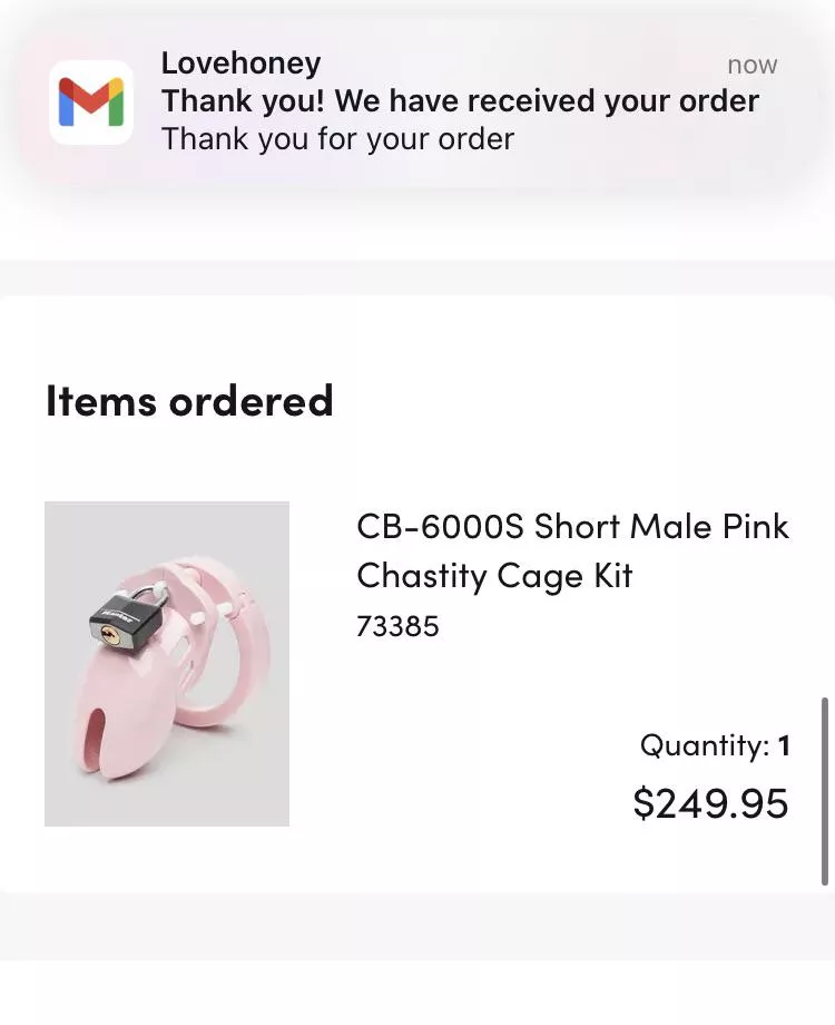 [18/M] just ordered my first chastity cage! posted by ezpz_LEM0Nsqueezy