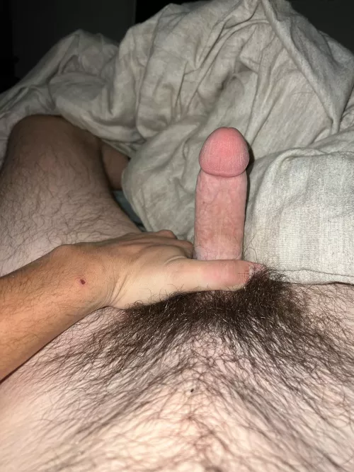 20 opinions by No_Tax9677