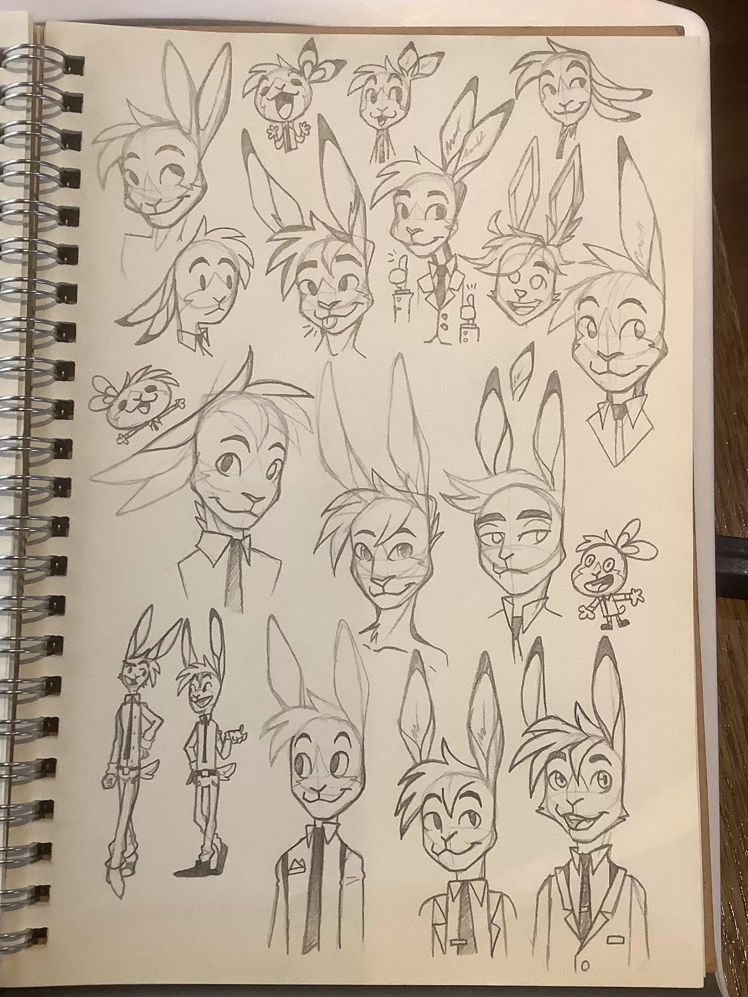 Do people hate bunnies or something???? posted by OctopusInkSpaghetti